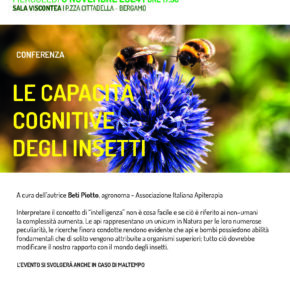 Capacidad cognitiva de abejas y abejorros