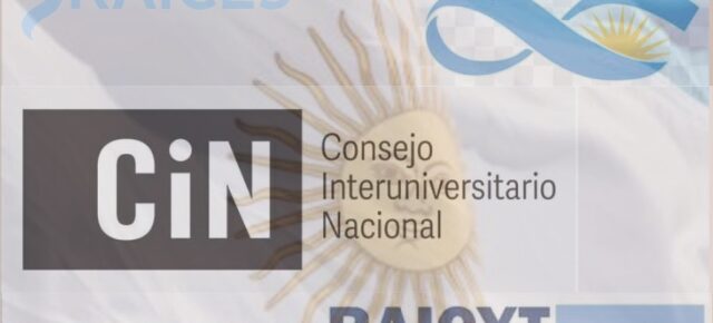 Redes de RAICES en el exterior y el sistema CyT en Argentina: Pensando sinergías